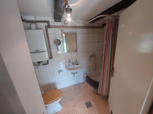 ein kleines Badezimmer mit Toilette und Waschbecken in der Unterkunft Old Style in Vukšin Šipak