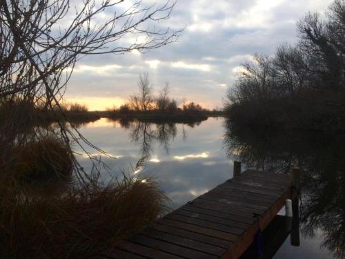 - un quai en bois sur un lac bien exposé dans l'établissement Marais de capeau, à Arles