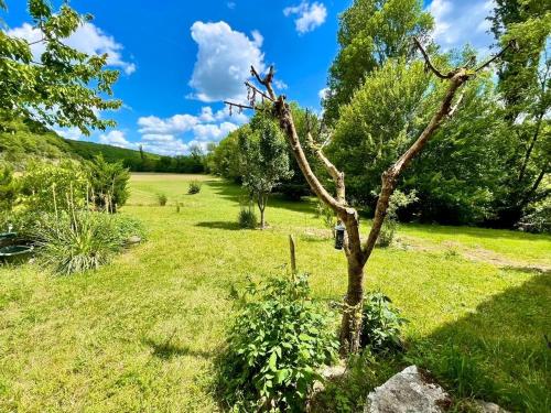 a tree in the middle of a field at La métairie basse Dordogne 2 Gites pour 18 personnes au total in Saint-Aubin-de-Nabirat