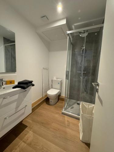 une salle de bain avec toilettes et douche en verre dans l'établissement M73 Marquer joli studio centre ville d'Annemasse, à Annemasse