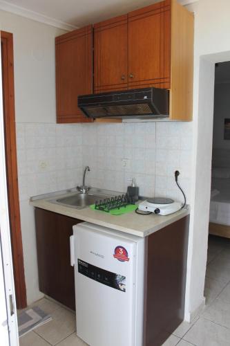 Kuchyň nebo kuchyňský kout v ubytování Villa Maria mola