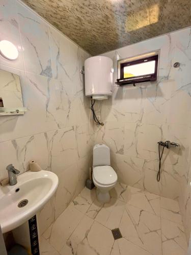 a bathroom with a toilet and a sink at Gamarjoba Guest and Art House in Ushguli