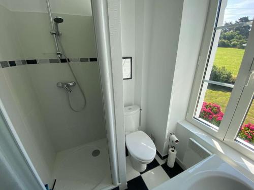 La salle de bains est pourvue de toilettes, d'une douche et d'une fenêtre. dans l'établissement Maison avec vue mer et accès plage à Plougasnou, à Plougasnou