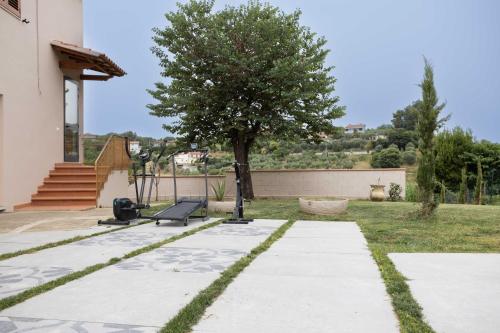 a bench and a tree in a yard at Il Colle affittacamere in Crespina