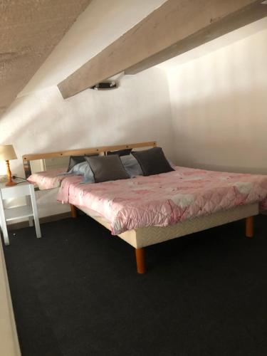- une chambre avec un grand lit et une couette rose dans l'établissement Mistral 2 étage D avec clim, à Coursan