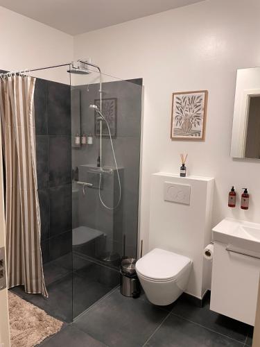 a bathroom with a shower and a toilet at Sunway Place in Præstø