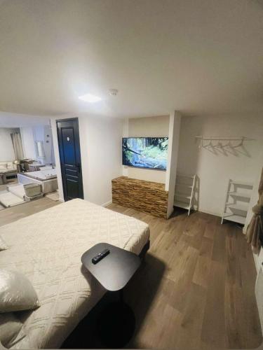 a bedroom with a bed and a flat screen tv at Loft ravissant 45m2 Jacuzzi RVB NIGHT 2 in Amiens
