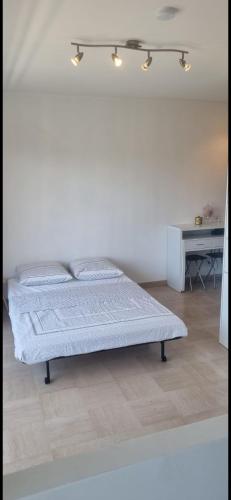 Antibes beau studio lumineux