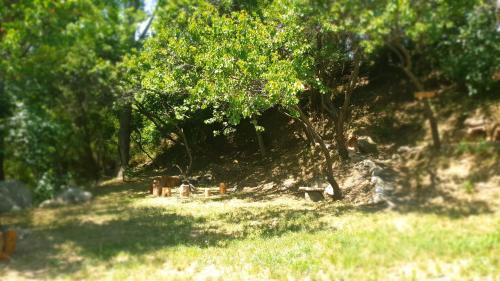 a path in a field with trees and grass at Areni Lodge in Areni