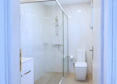 a bathroom with a toilet and a glass shower at Blue Sea Paros in Drios