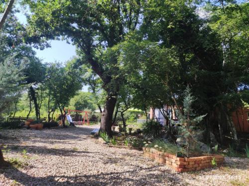 a park with a tree and a brick wall at The Forest House Krk 2 in Kras