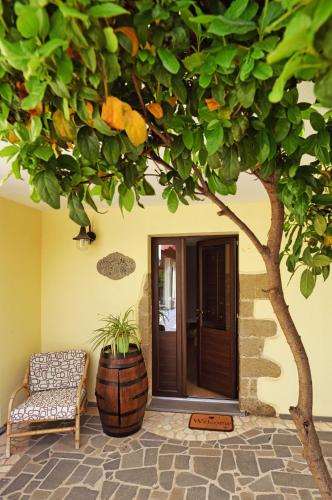 a tree in front of a house with a couch and a chair at Casa di Nonna Rosa e Nonno Ciccito in Masullas