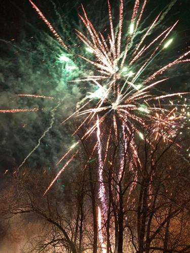 a firework display at night with trees in the foreground at Ferienwohnung Jardin im Kunsthaus in Greifenberg