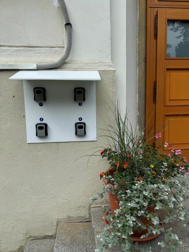a white mailbox on the side of a building with a plant at Penzion Zahrada Čech in Litoměřice