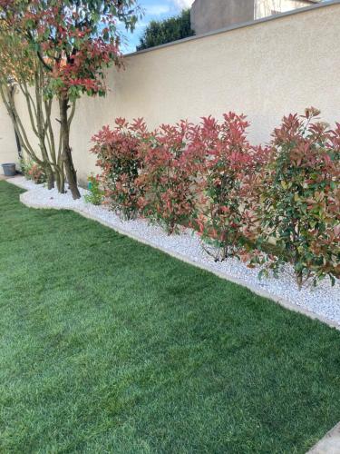 une rangée de buissons à fleurs rouges à côté d'un mur dans l'établissement VILLA RIZEE à 14min de Paris & proche DisneyLand Resort, à Chelles