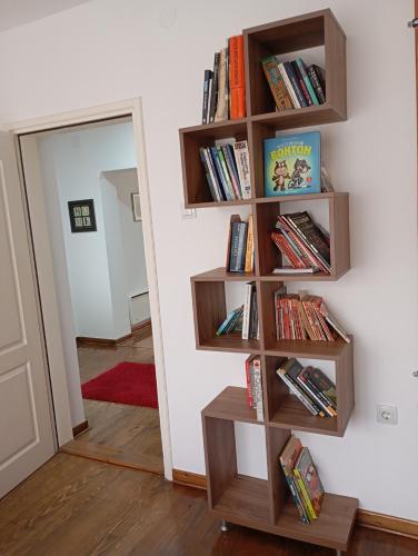 a book shelf on a wall with books at Sweet Dreams Apartment in Arandjelovac