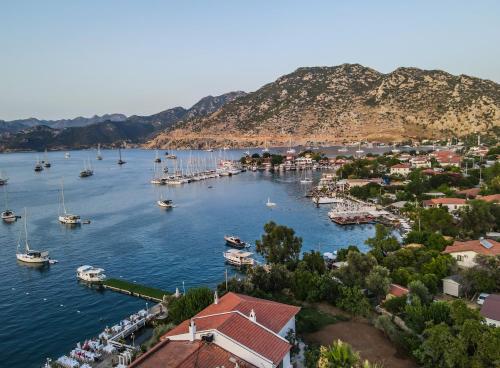 a view of a harbor with boats in the water at Pineloft Selimiye in Mugla