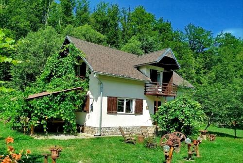 a small white house with trees and a yard at Complex Adela Transfăgărășan in Cîrţişoara
