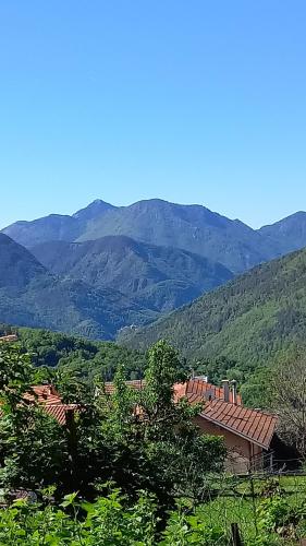 Pemandangan gunung umum atau pemandangan gunung yang diambil dari penginapan & sarapan