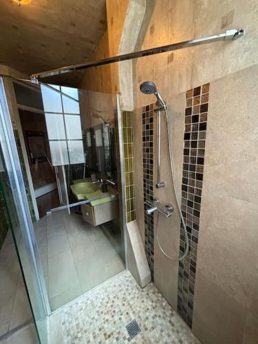 une salle de bain avec une douche avec une porte vitrée dans l'établissement Appartement T3 Paris Choisy-le-Roi, à Choisy-le-Roi