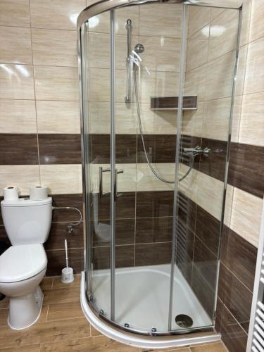 a shower stall in a bathroom with a toilet at Penzion Český Dvůr in Starý Plzenec