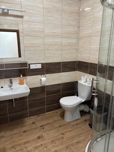 a bathroom with a toilet and a sink at Penzion Český Dvůr in Starý Plzenec