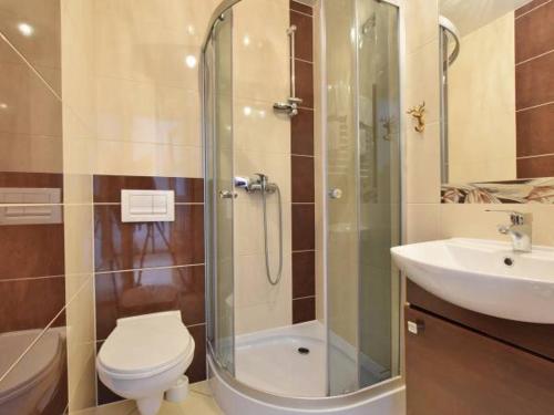 a bathroom with a shower and a toilet and a sink at Domek z Góralską Duszą Śleboda in Jurgów