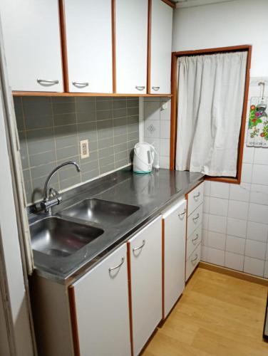 a small kitchen with a sink and a window at Kren in Ushuaia