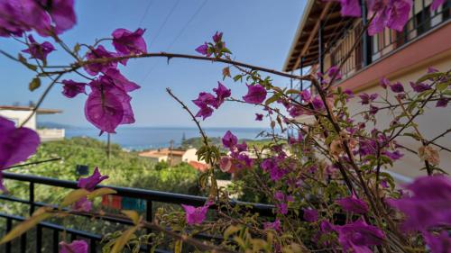 Gallery image of Studios Ristas 2 in Parga