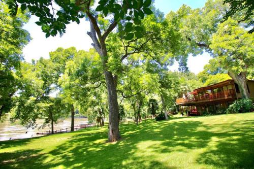 a tree in the grass next to a house at The River Haven - Sleeps 32 - on Guadalupe River in Seguin