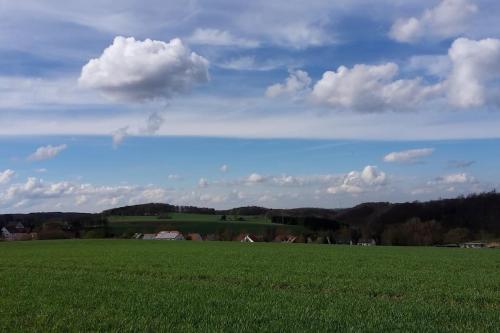 a field of green grass with a cloudy sky at Wegeners Ferienwohnung in Brilon