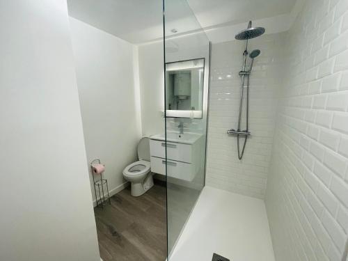 une salle de bain avec toilettes et douche en verre dans l'établissement Le centrale, à Lézignan-Corbières