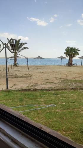 a view of a beach with palm trees and the ocean at قرية منيه فايد in ‘Ezbet Hasan Sallâm