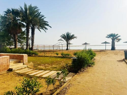 a path on the beach with palm trees in the background at قرية منيه فايد in ‘Ezbet Hasan Sallâm
