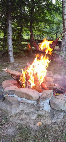 a fire pit in a field with flames at Małopolskie Swojskie in Olszyny