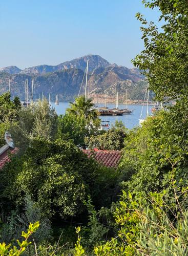 a view of a harbor with boats in the water at Pineloft Selimiye in Mugla