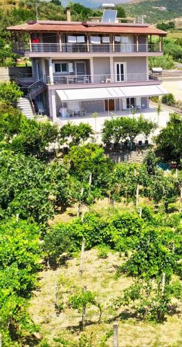 a large house on top of a hill with trees at Toma's Guest House in Sarandë