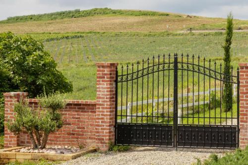 a wrought iron gate with a field in the background at Notte nella Botte in Vignale Monferrato