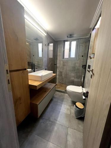 a bathroom with a sink and a toilet and a shower at Oasis Pool Flat-near 2 metro stations- in Piraeus