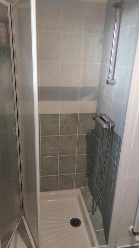 une douche avec une porte vitrée dans une salle de bain dans l'établissement Appartement 4 couchages - Centre ville St Donat sur l'Herbasse, à Saint-Donat-sur-lʼHerbasse