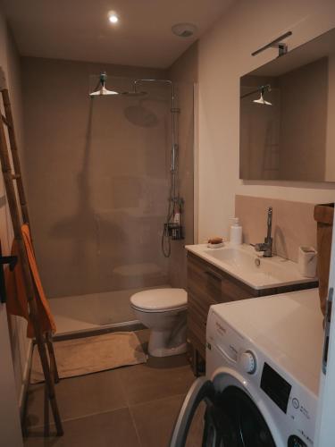 une salle de bain avec une douche, des toilettes et un lavabo dans l'établissement La bodeguita 1, à Saint-Génis