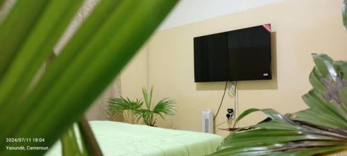 a living room with a flat screen tv and plants at AFRIEUROTEXT Kamerun-High Standing-Appartements-Wifi-Security-Restaurant-modern Kitchen in Yaoundé