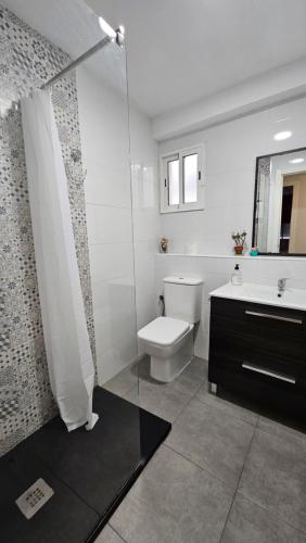 ein Badezimmer mit Toilette, Waschbecken und Dusche in der Unterkunft Apartamento Centro Castellón in Castellón de la Plana