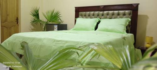 a bedroom with a large bed with green sheets at AFRIEUROTEXT Kamerun-High Standing-Appartements-Wifi-Security-Restaurant-modern Kitchen in Yaoundé