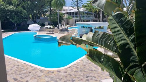 a large blue swimming pool next to a palm tree at Tropical Casa Laguna in Cabarete