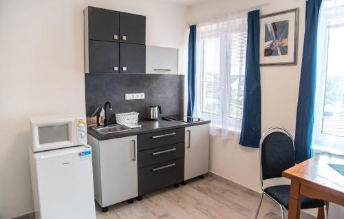 a small kitchen with a sink and a microwave at Panská in Chlum u Třeboně