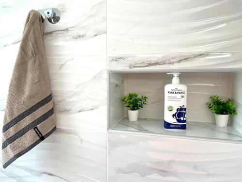 a bathroom shelf with a bottle of hand soap and plants at 4SeasonsApartment in Kardítsa