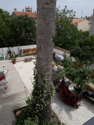 Taman di luar La bodeguita 1