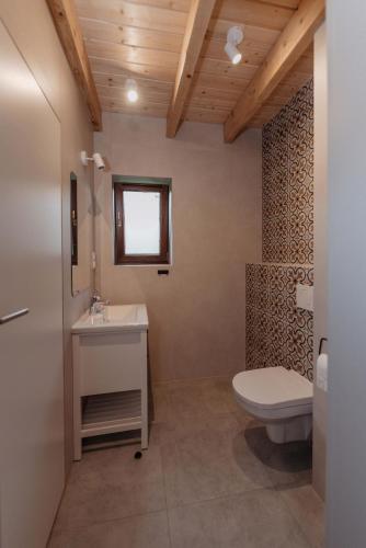a bathroom with a toilet and a sink at Chaty Jagi Domek 2 in Czorsztyn