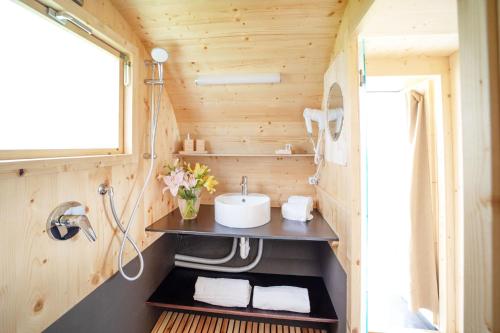 a bathroom in a tiny house with a sink at Notte nella Botte in Vignale Monferrato
